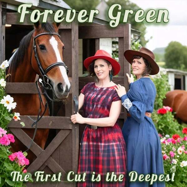 Cover art for The First Cut is the Deepest